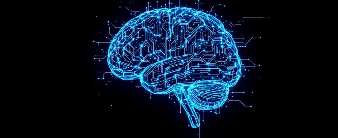 Plasticité Cérébrale & Recâblage Neuronal : Les Protocoles de Haute Performance