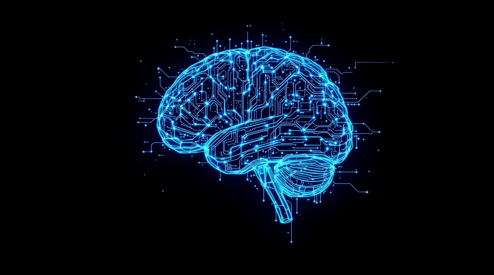 Plasticité Cérébrale & Recâblage Neuronal : Les Protocoles de Haute Performance